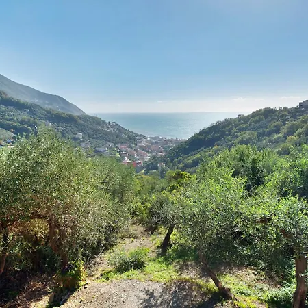 Casa Elena 公寓 莫内利亚